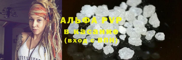 спиды Новодвинск