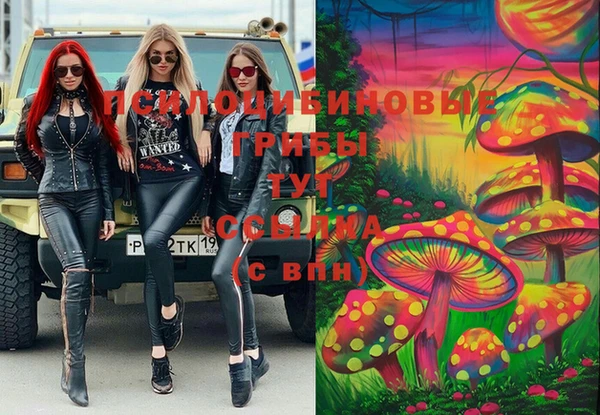 наркотики Новозыбков