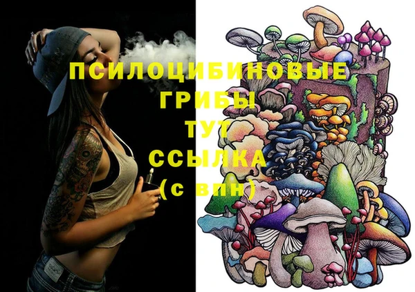 наркотики Новозыбков