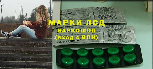 спиды Новодвинск