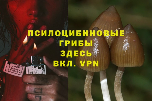 наркотики Новозыбков