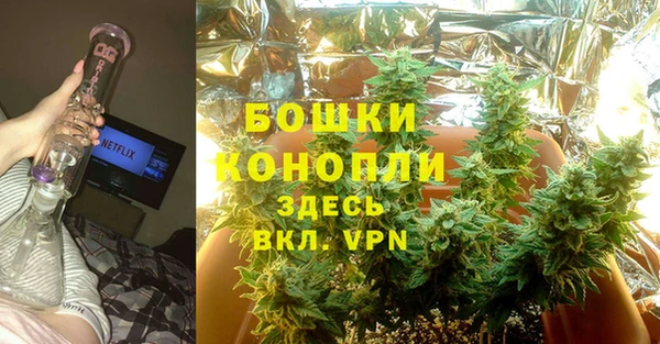 трава Нея