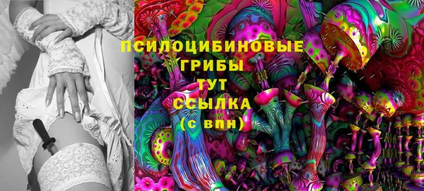 спиды Новодвинск