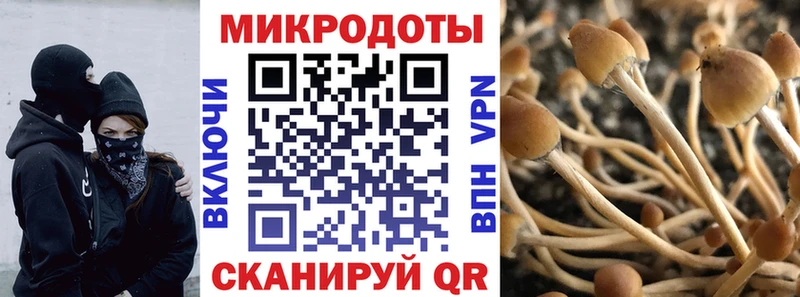 Псилоцибиновые грибы GOLDEN TEACHER  Навашино 